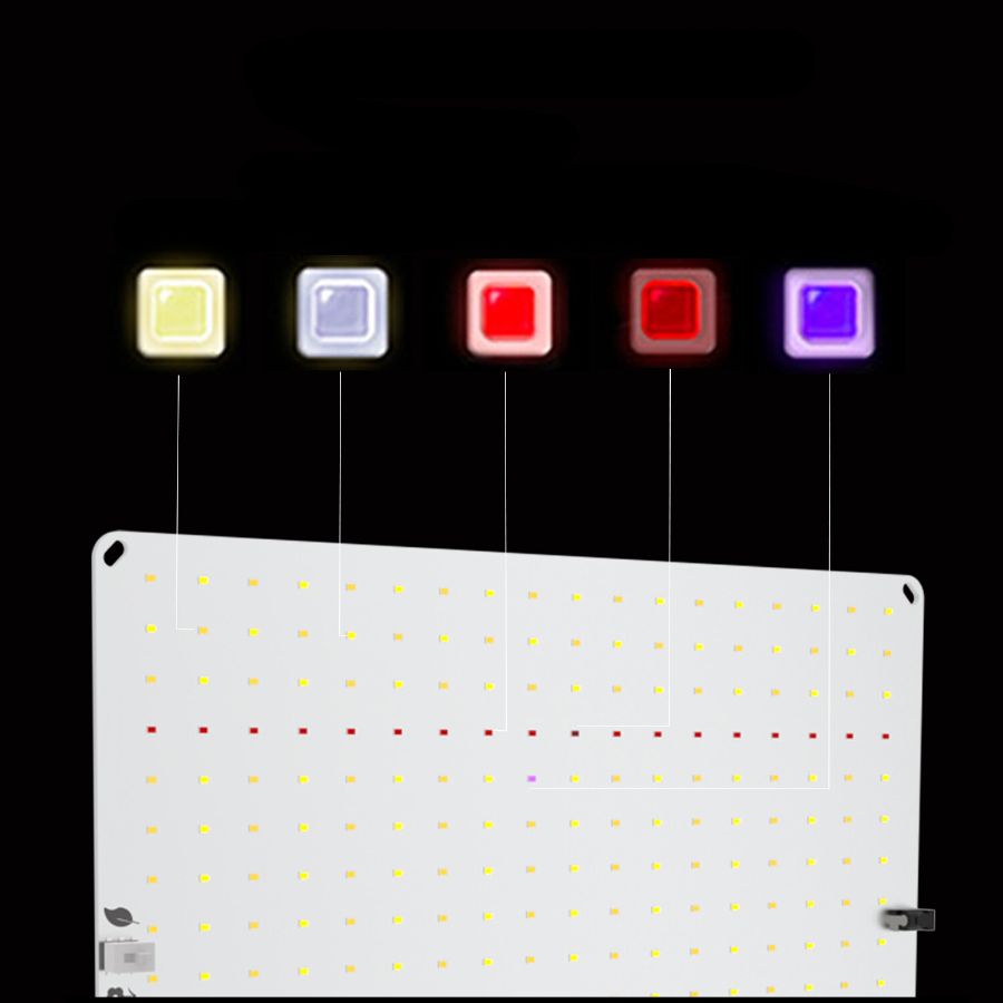 Lampe de croissance LED à intensité variable - Lampe
